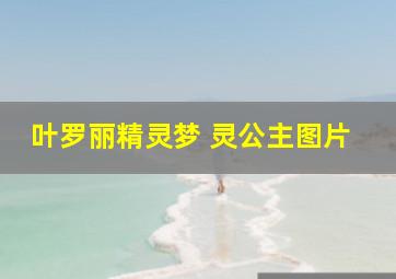 叶罗丽精灵梦 灵公主图片